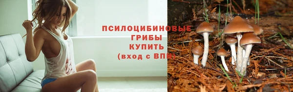 МДМА Протвино