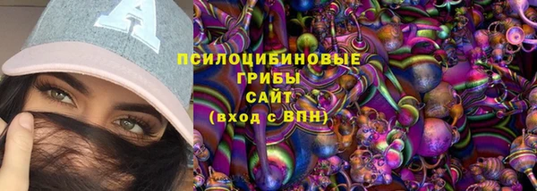 крисы Приозерск
