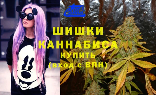 крисы Приозерск