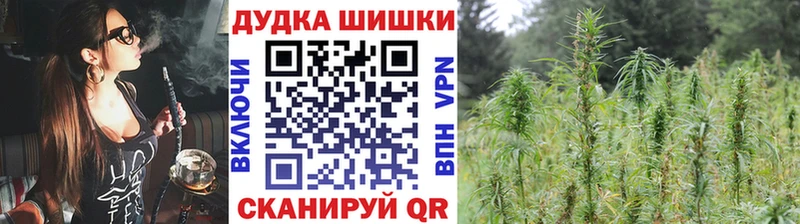 наркота  Кудымкар  Шишки марихуана гибрид 